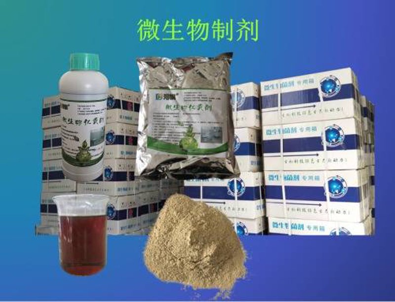 未来五年，厦门检验检疫技术中心如何引领行业发展？